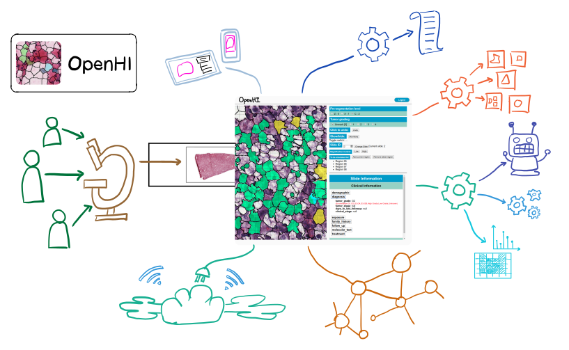 Overview of artificial intelligence in pathology